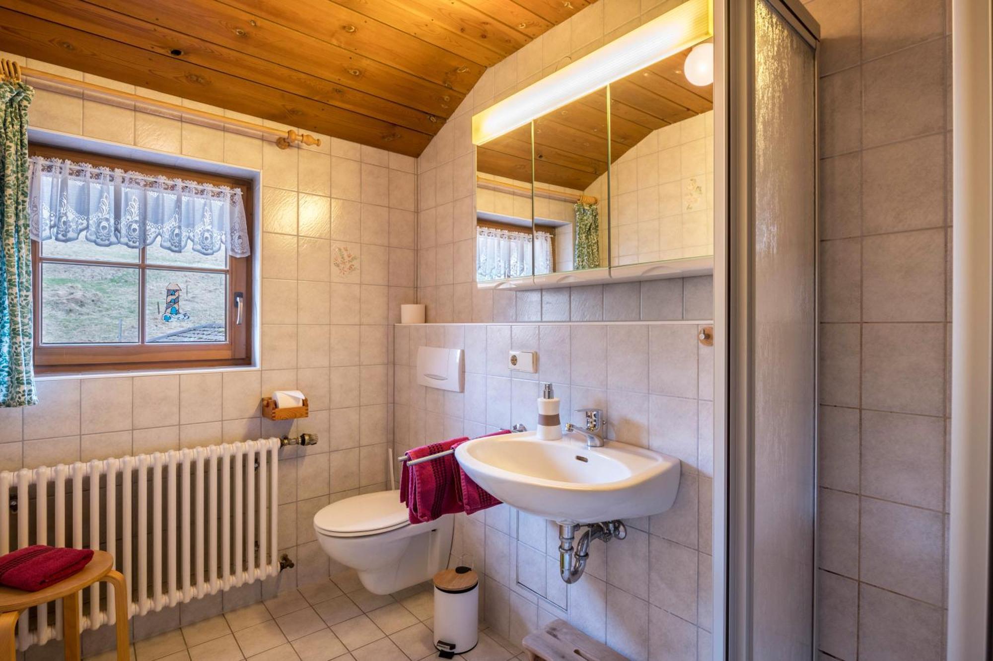 Apartament Mittlerer Itzenwaldhof - Heimkehr Münstertal Zewnętrze zdjęcie
